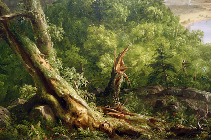 Arbol granallado (detalle), Thomas Cole, Vista desde el monte Holyoke, Northampton, Massachusetts, después de una tormenta: el arco buey, 1836, óleo sobre lienzo, 51 1/2 x 76 pulgadas/130.8 x 193 cm (El Museo Metropolitano de Arte)