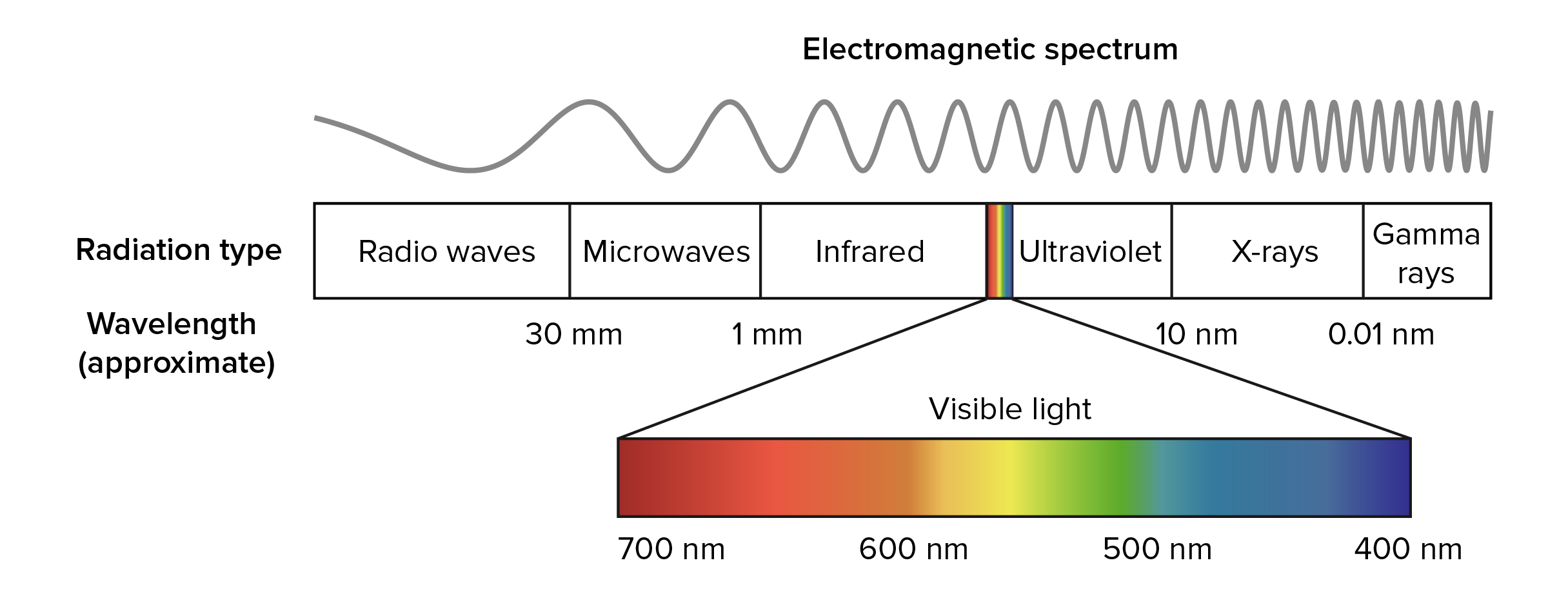 electromagnetic-spectrum-diagram-blank-www-imgkid-the-image-kid-has-it