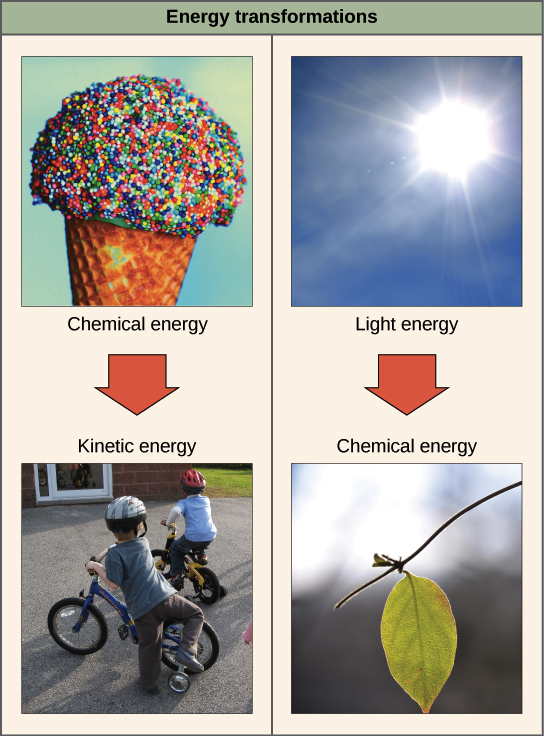 the laws of thermodynamics article khan academy