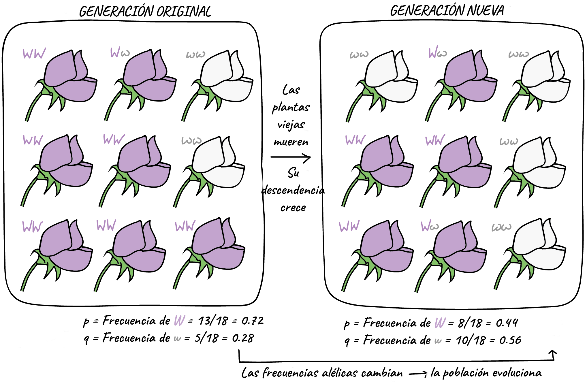 Key DES-1415 Concepts