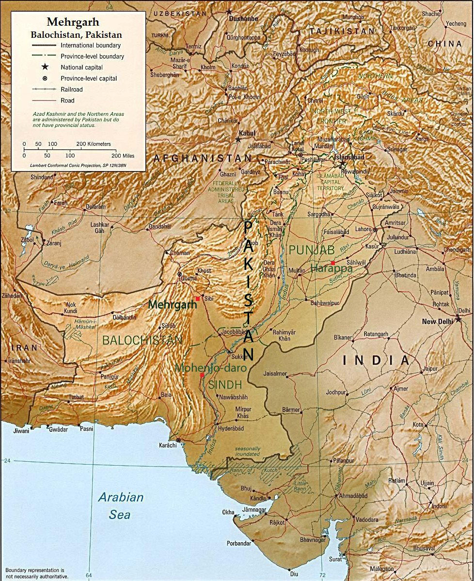 What was social structure like in the Indus Valley?